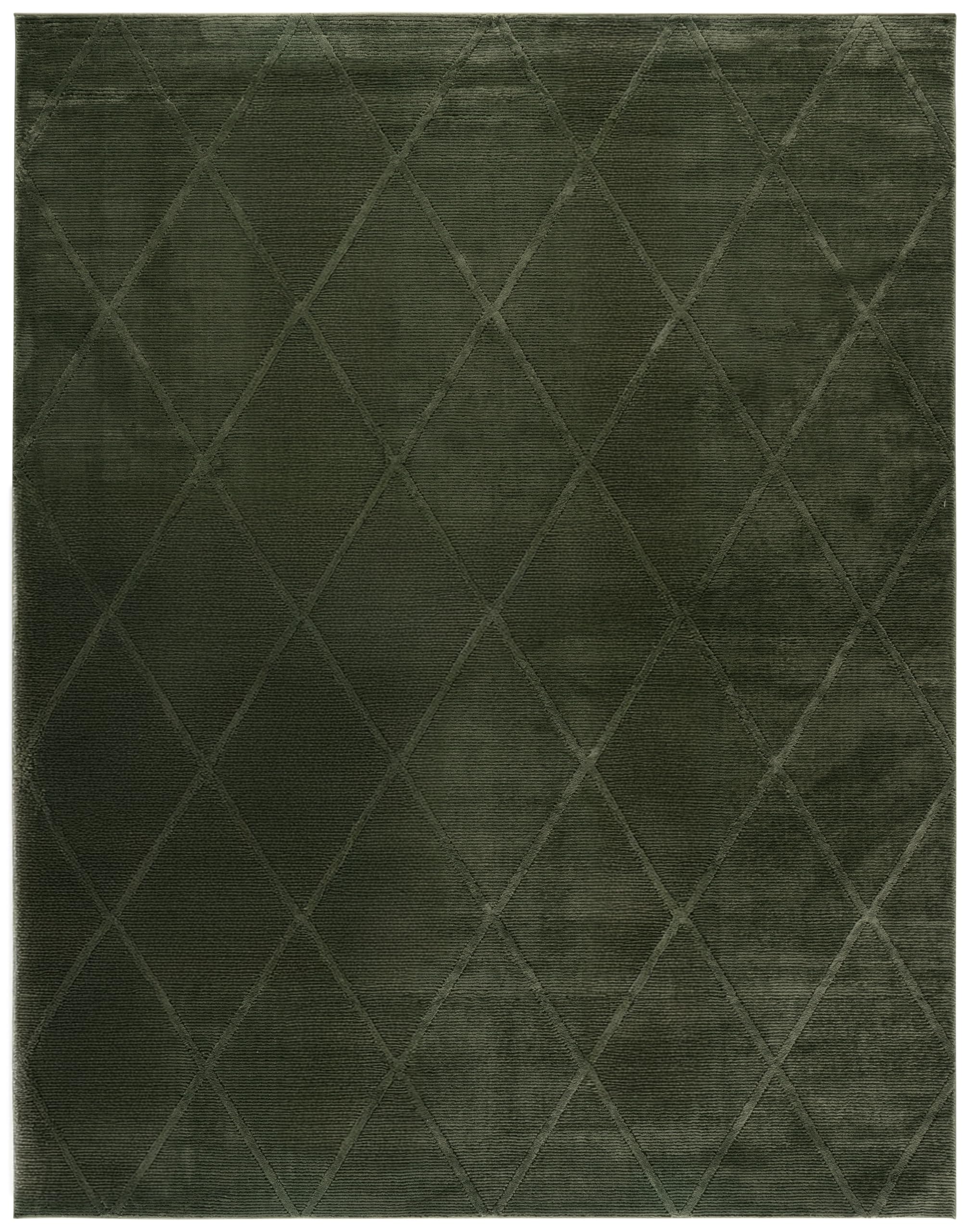 Amazon.com: SAFAVIEH Area Rug 8x10 - Revive Collection - Large